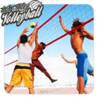 Play Volleyball