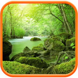 Jungle HD Wallpaper आइकन