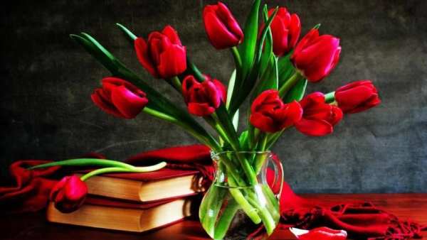 Tulip.Flowers wallpaper screenshot 3