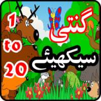 Learn Counting Numbers 123 on 9Apps