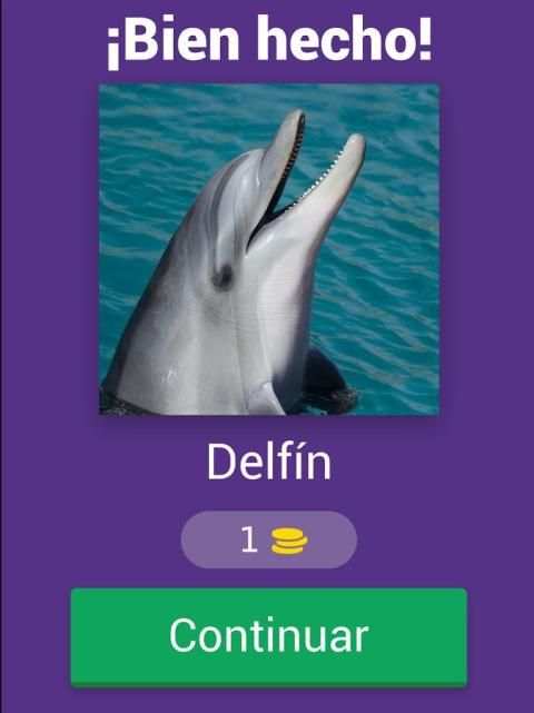 1 foto 1 de animales screenshot 7