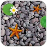 Water Ripples Live Wallpaper