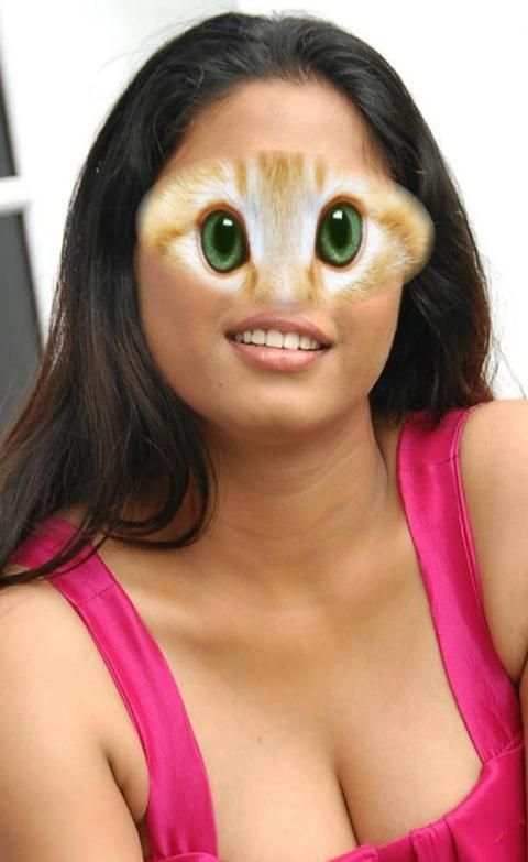 Animal Eye Mask скриншот 1