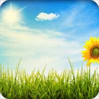 Live Weather Wallpaper on 9Apps