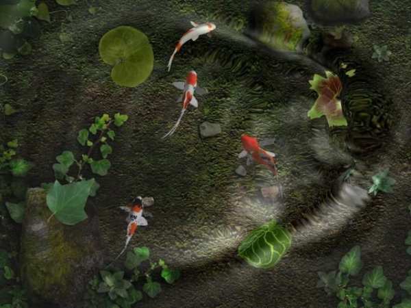 Wallpaper Hidup Koi Pond screenshot 7
