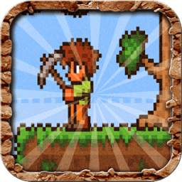 Terraria terraria