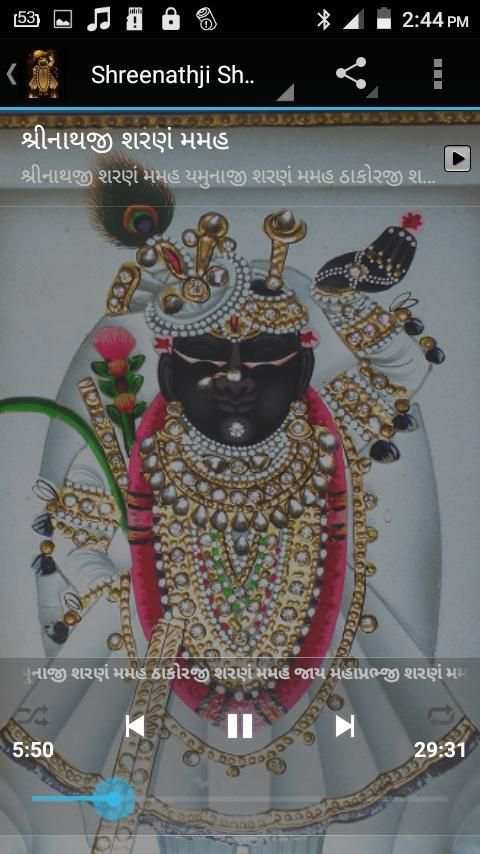 Shrinathji Aarti Bhajan Audio screenshot 5