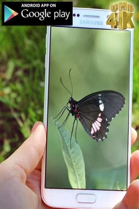 Mega Zoom Camera HD New 2017 screenshot 3