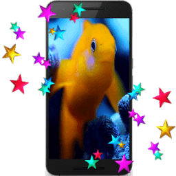 ikon Fish Live Video Wallpaper