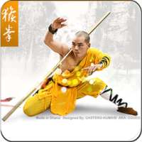 Learn KungFu