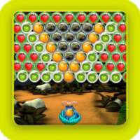 bubble fruit harvest