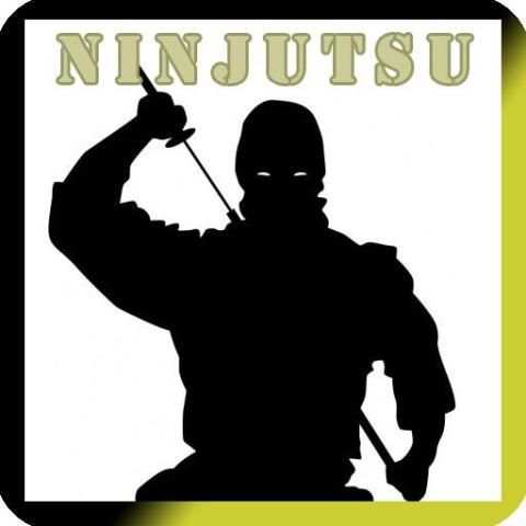 Ninjutsu Training screenshot 1