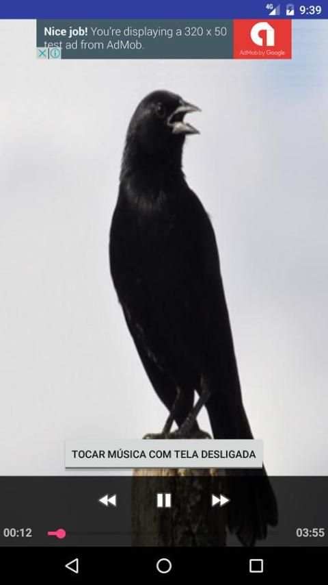Canto Pássaro Preto (Melro) скриншот 6