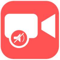 Video Mute : Video Slient