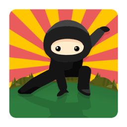 ikon Ninja Knight