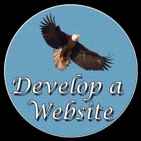 Website Developer скриншот 2