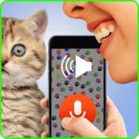 Human-To Cat Translator 2