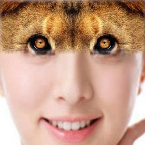 Tiger - Animal Face Maker screenshot 3