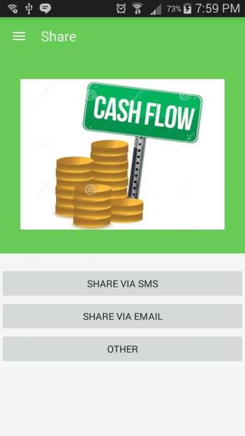 Cash-Flow screenshot 2