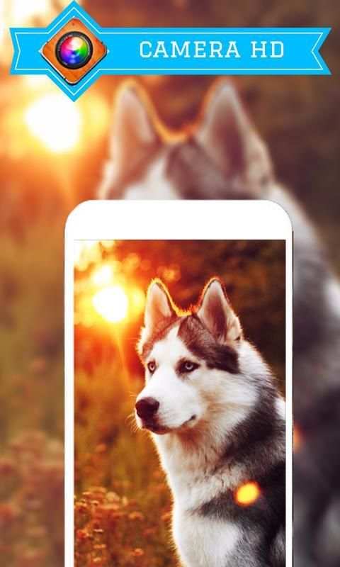 Camera HD 360 screenshot 8