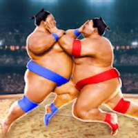 Sumo Wrestling Fight Arena