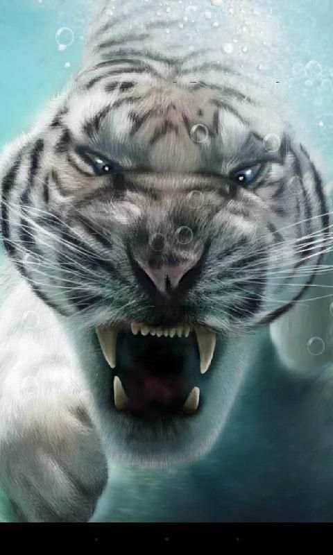 Tiger Live Wallpaper 10 تصوير الشاشة