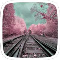 Pink Way Theme