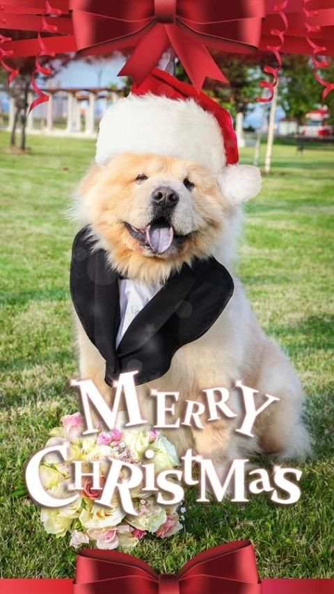 Christmas Photo Montages 5 تصوير الشاشة