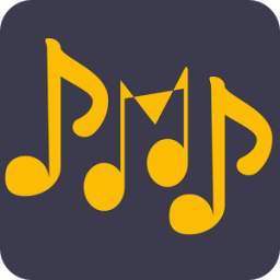 Perfect Music Player - PMP