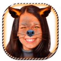 एनिमल फेस तस्वीर असेंबल