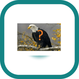 Guess The National Animals icon