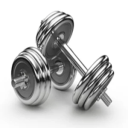 ikon musculation pro