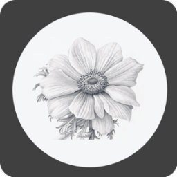 How to Draw Flower иконка
