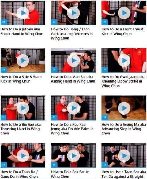 Wing Chun 1 تصوير الشاشة