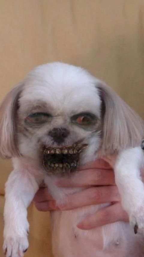 ZombieBooth скриншот 3