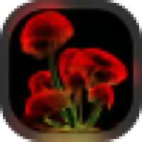 Справочник Грибов APK Download 2023 - Free - 9Apps