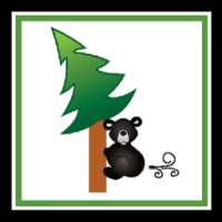 Bear Tootin Cabin Rentals on 9Apps