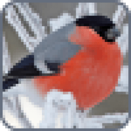 Живые Обои Птицы Зима icon