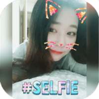 Cat Face Photo Filters