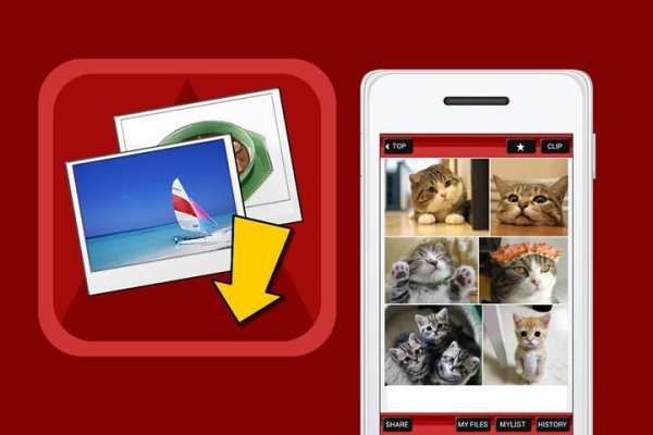 Photo Clip：Image search app स्क्रीनशॉट 2