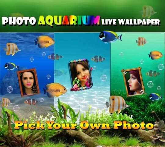 Photo Aquarium Live Wallpaper screenshot 1