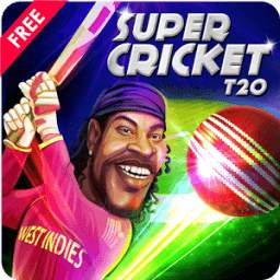 Super Cricket 1.1