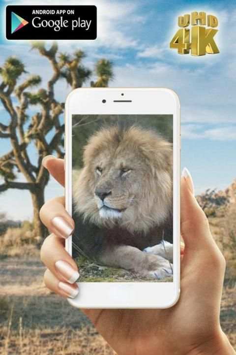Digital Zoom Camera 360 Pro скриншот 2