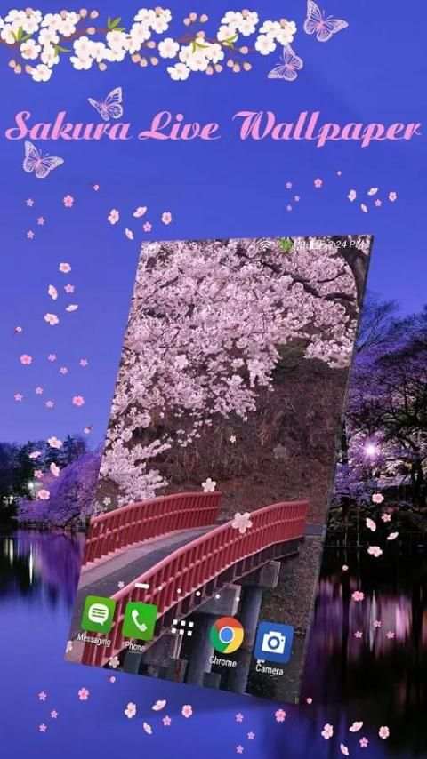 Sakura Live Wallpaper screenshot 6