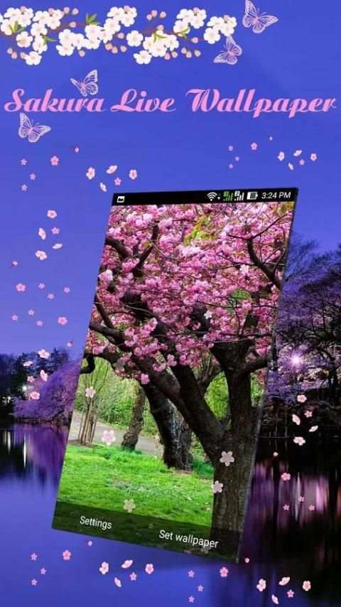 Sakura Live Wallpaper screenshot 3
