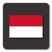 Lightning Launcher - Indonesia