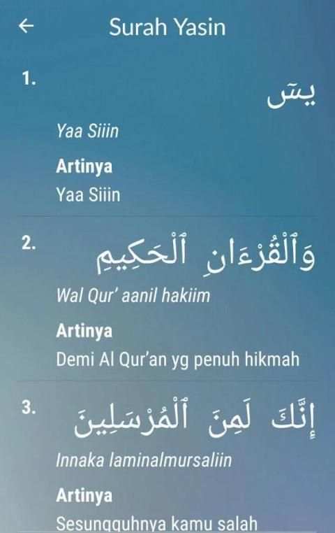 Muslim Pocket screenshot 3