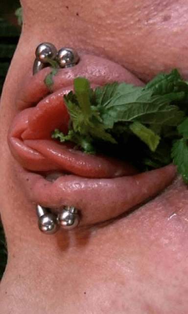 Sexy Pussy Torture screenshot 2