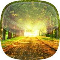 Taman Wallpaper Animasi on 9Apps