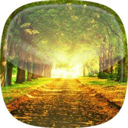Park Live Wallpaper 1.0